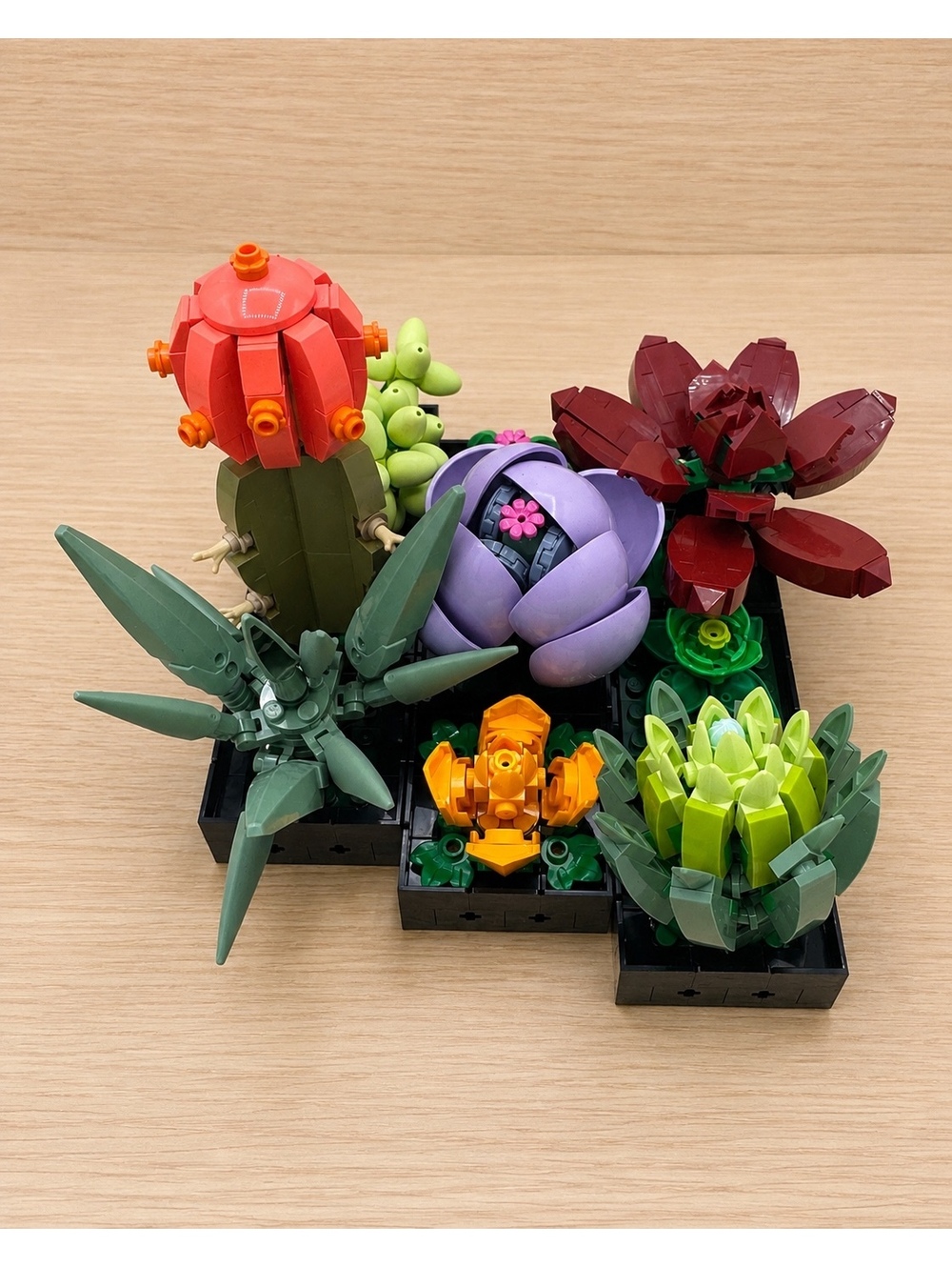 LEGO 10309 Succulents – Complete w/ Box & Instructions – Displayed Only